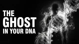 Scientists Finally Proved DNA Of A Ghost Species In Your DNA &mdash; No Bones Ever Found