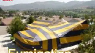 C A Luce Termite Control | Pest Control In San Diego, CA