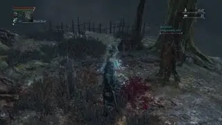 Double Visceral Attack(Bloodborne)
