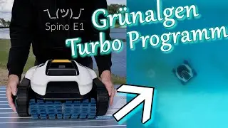 Poolroboter Spino E1 Mammotion gegen Grünalgenbelag ✅️ alle Funktionen & ausführlicher Test