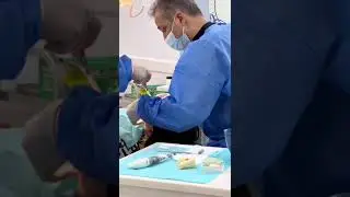 Ceram Specialist Dental Center #shorts