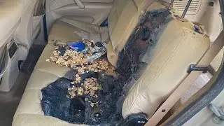 Manhunt underway after cars set on fire in Columbia, Illinois