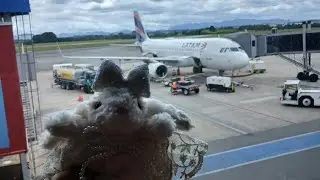 Vlog da minha viajem pra Curitiba!✨️