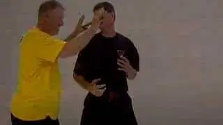 Short baton/stick combat skill 3