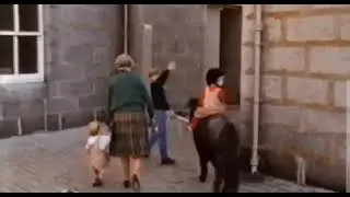 Queen Elizabeth ll had horse bonding with her grandchildren #queenelizabeth #memories #royalfamily