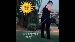 Heatwave and Danes do not do well in the heat!