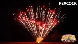 PEACOCK - World Class Fireworks