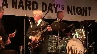 Beat the Meetles - This Boy