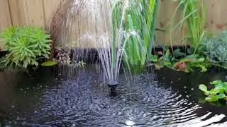 Affinity Grand Half Moon Pond Easy Garden Watering