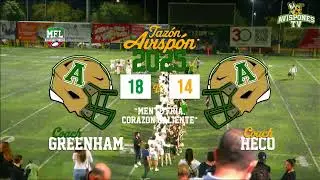 TAZON AVISPON GREENHAM  VS  HECO