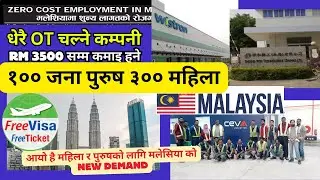 Wistron Technology (Malaysia) Sdn. Bhd.Free Visa free ticket zero cost Malaysia factory worker Deman