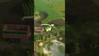 Harvesting of corn for silage | Farming Simulator 25
