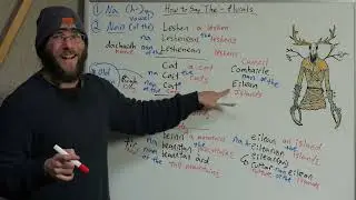 10 - How to Say 'The' - Plurals (with a Leshen!)