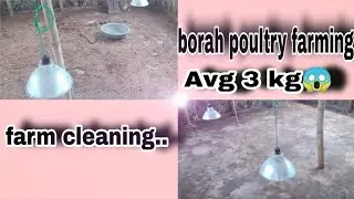 farm safa krilu | broiler farm cleaning step 1 | BORAH POULTRY FARM