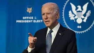 Biden Calls Capitol Mob 'Domestic Terrorists'