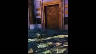 Turtles can run fast. Черепахи умеют быстро бегать.
