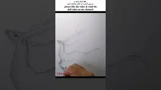 Beyond appearances: Beauty-repulsive  deer drawing #shorts #short  #sketch