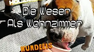 Wohnmobil - Wochenendtrip Holzminden / Weser mit Hundeeis _ 23.-25.08.2024 _ #39