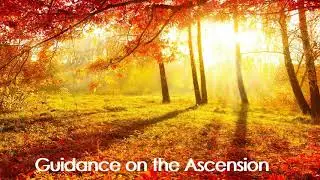 Ascension Teachings
