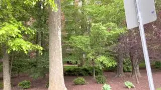FALLSWOOD AND THE GRAND BUILDINGS OF WHITE FLINT, ROCKVILLE CITY @ luis bella channel