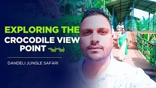 Crocodile View Point!🐊🐊Crocodile Adventures Trip! 🌊 मगरमच्छों की दुनिया का रोमांचक सफर! #dandelions