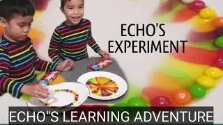 Echo's Experiment