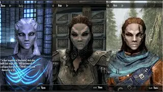 Three more Dark Elves just for you - Skyrim - NO MODs - PC