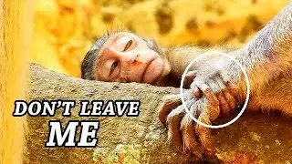 Don't Leave Me !! Sad eyes scare lost mom| Janna catch before sleep scare lost mom.