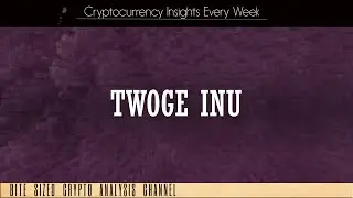 Twoge Inu Crypto Review