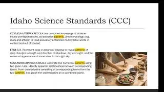 Digital Interdisciplinary Science