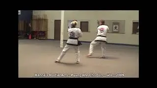 Pyung Ahn Cho Dan - Side View - Manna's Martial Arts