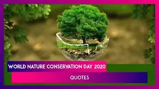 World Nature Conservation Day 2020: Powerful Quotes On Environmental Protection for Those Who Care