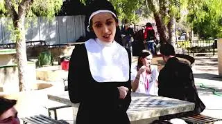 Campobosco 2019 Alacant