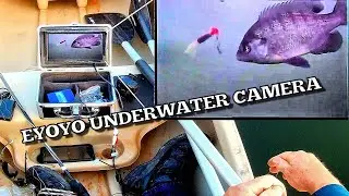 Eyoyo Underwater Fishing Camera Test &ndash; Live Lake Footage & Real Fish Action!