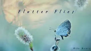 Flutter Flies