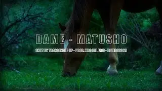 Matusho - Dame (Shot by Trascender) Prod. Hijo del frio - DJ Tedos