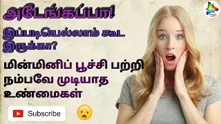 மின்மினிப்பூச்சி பற்றிய உண்மைகள்|Amazing facts about firefly|Amazing world|தமிழ்|Tamil|