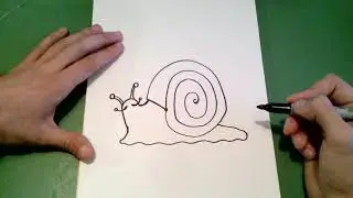 Snail Drawing Video K-2 / Optional Drawing Activity