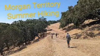 У дядюшки Моргана  (Morgan Territory Regional Preserve, California)