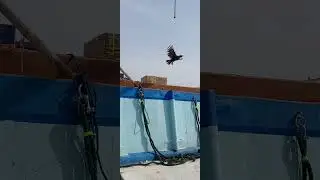 Dubai sy Iran Saman kasy jata hy dekhan is video main#dubaitoiran #vlog #viralvideos