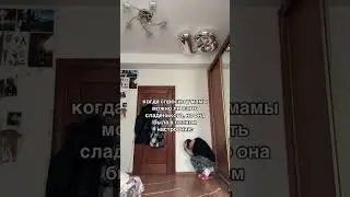 #мем