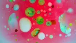 Live in Session - Applied Knowledge - FlexiPop