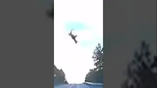 Deer gets absolutely demolished by car #funny #memes #shorts