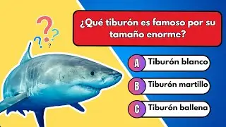 Desafío del Océano: 50 Preguntas sobre Vida Marina - ¿Cuánto Sabes?🌊🐳🦈