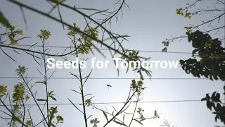 Seeds for Tomorrow