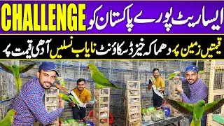 Bolne wale tote taim Bird  #lahorientertainmentchannel#birds #birdsmarket   #lovebirdsfarming #2025