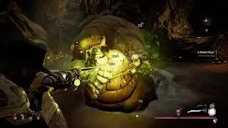 REMNANT FROM THE ASHES Brain Bug | Nightmare Easy kill | Swamps of Corsus - Strange pass