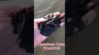 🇧🇬 Целебное Озеро и Pomorin&hellip;#pomorie #поморие