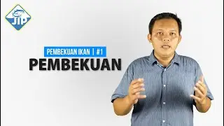 Pembekuan Ikan #1  | Pembekuan