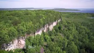 Wiarton & Area